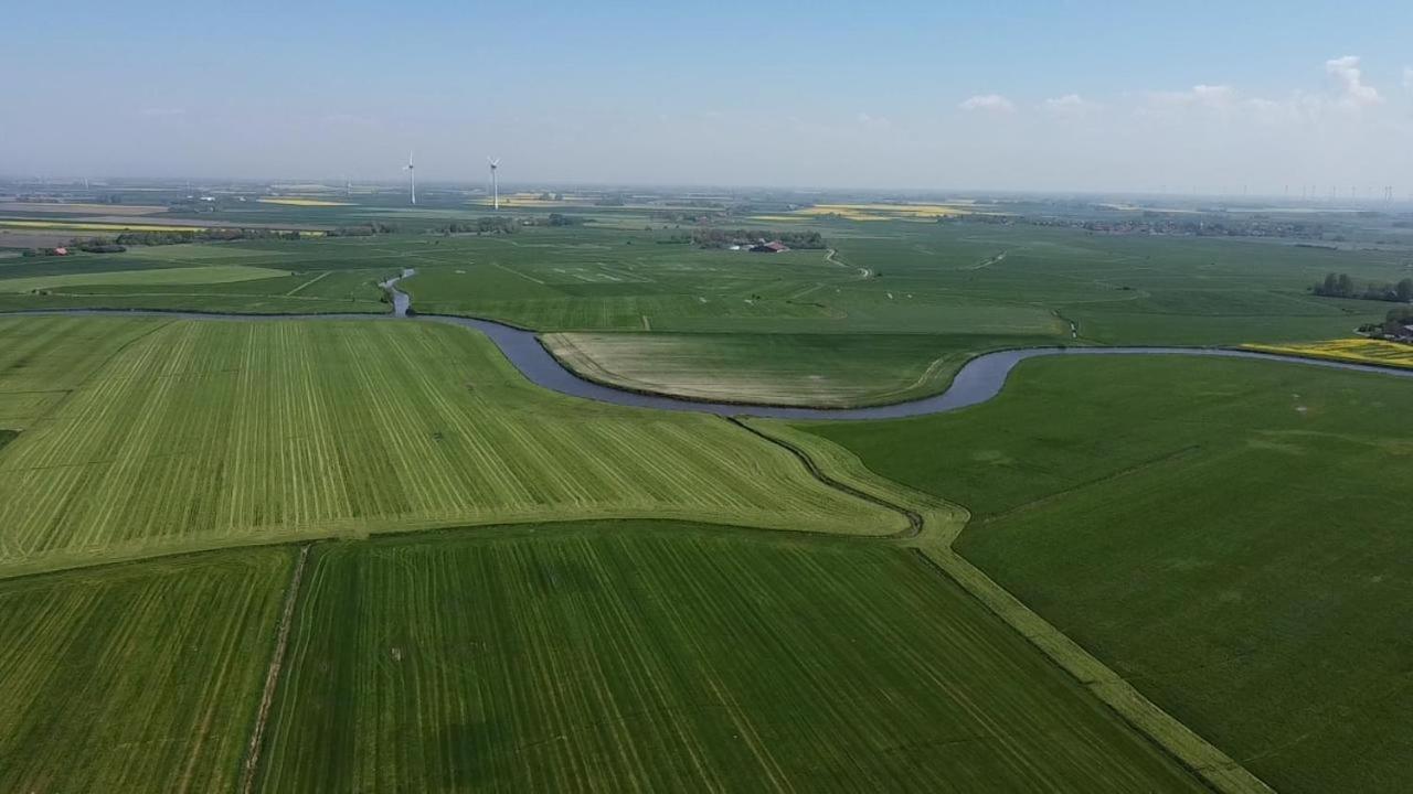 Kleine Scholle Villa Neuharlingersiel Eksteriør billede